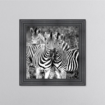 Zebras In The Wild Framed Wall Art
