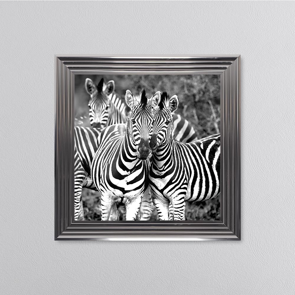 Zebras In The Wild Framed Wall Art