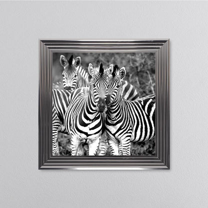 Zebras In The Wild Framed Wall Art