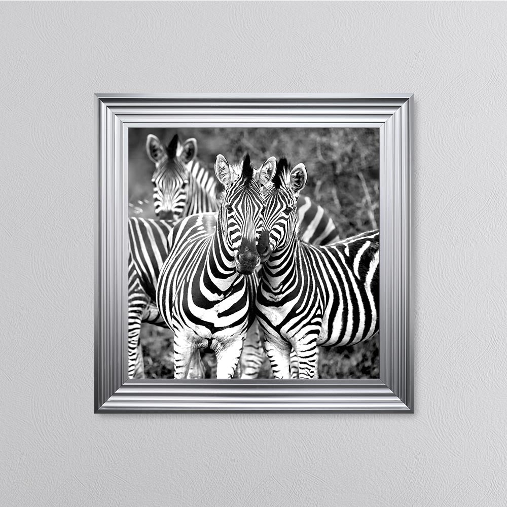 Zebras In The Wild Framed Wall Art