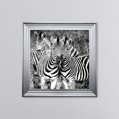 Zebras In The Wild Framed Wall Art