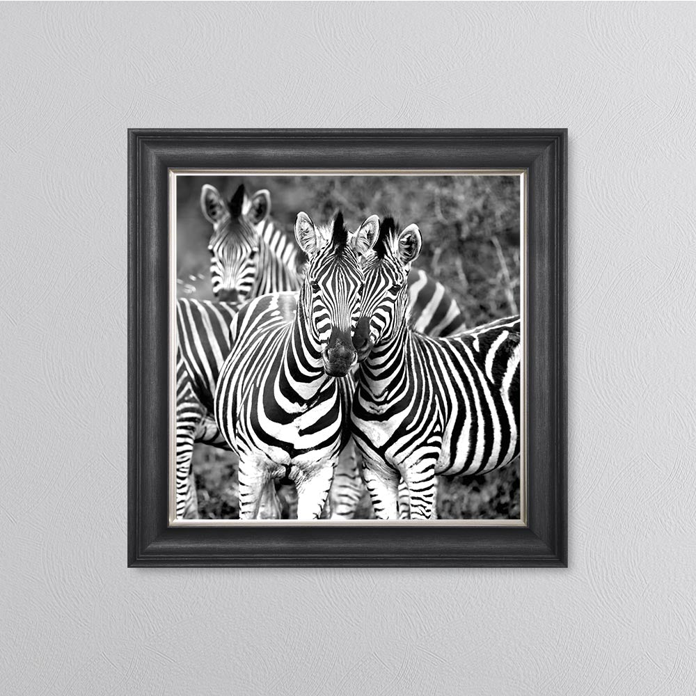Zebras In The Wild Framed Wall Art