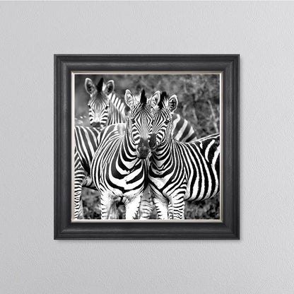 Zebras In The Wild Framed Wall Art