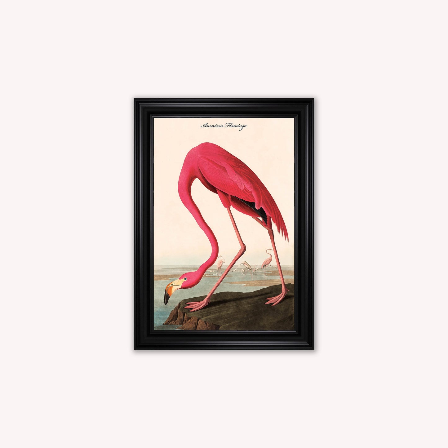 Luxury Velvet Art Print - Vintage Birds - American Flamingo Framed Wall Art