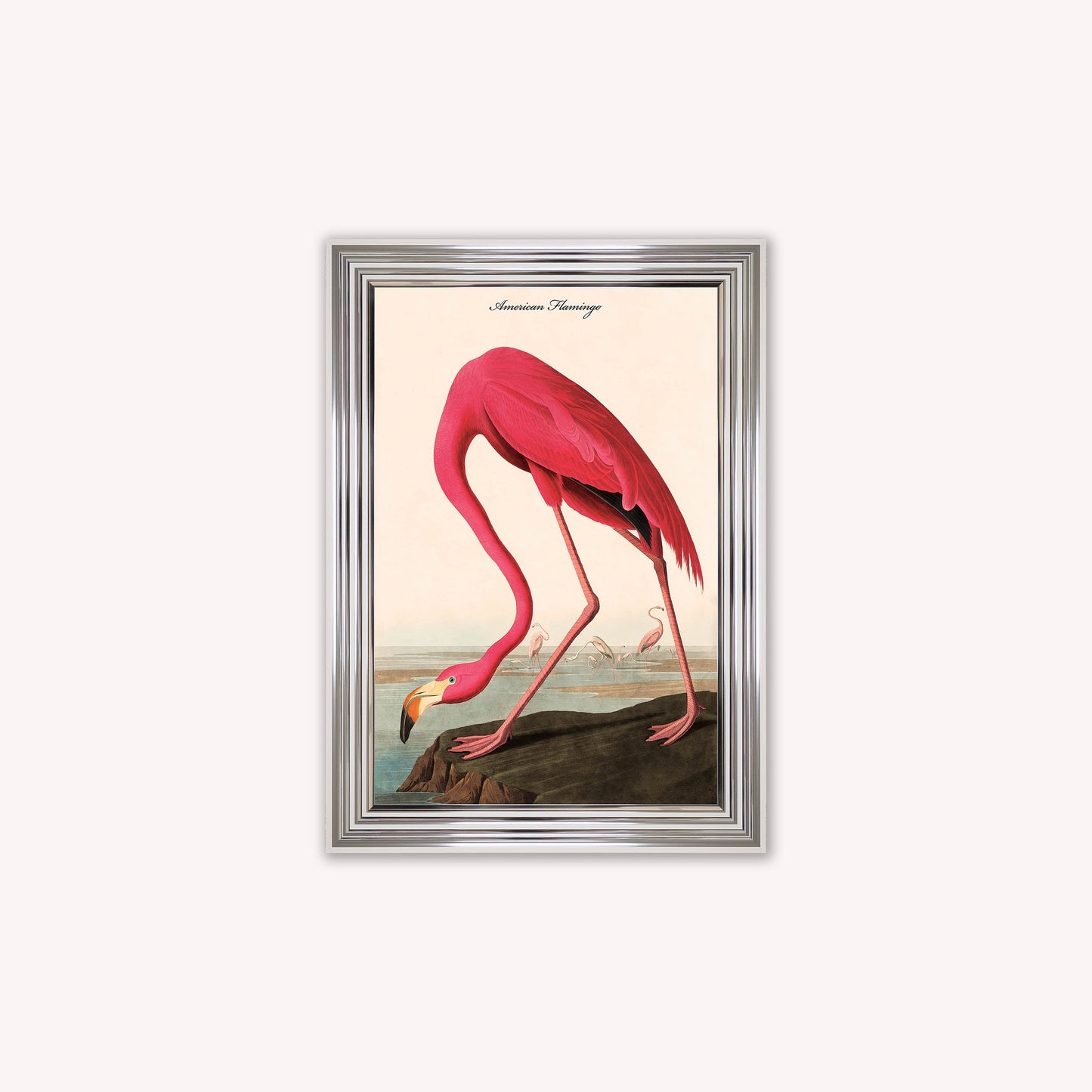 Luxury Velvet Art Print - Vintage Birds - American Flamingo Framed Wall Art