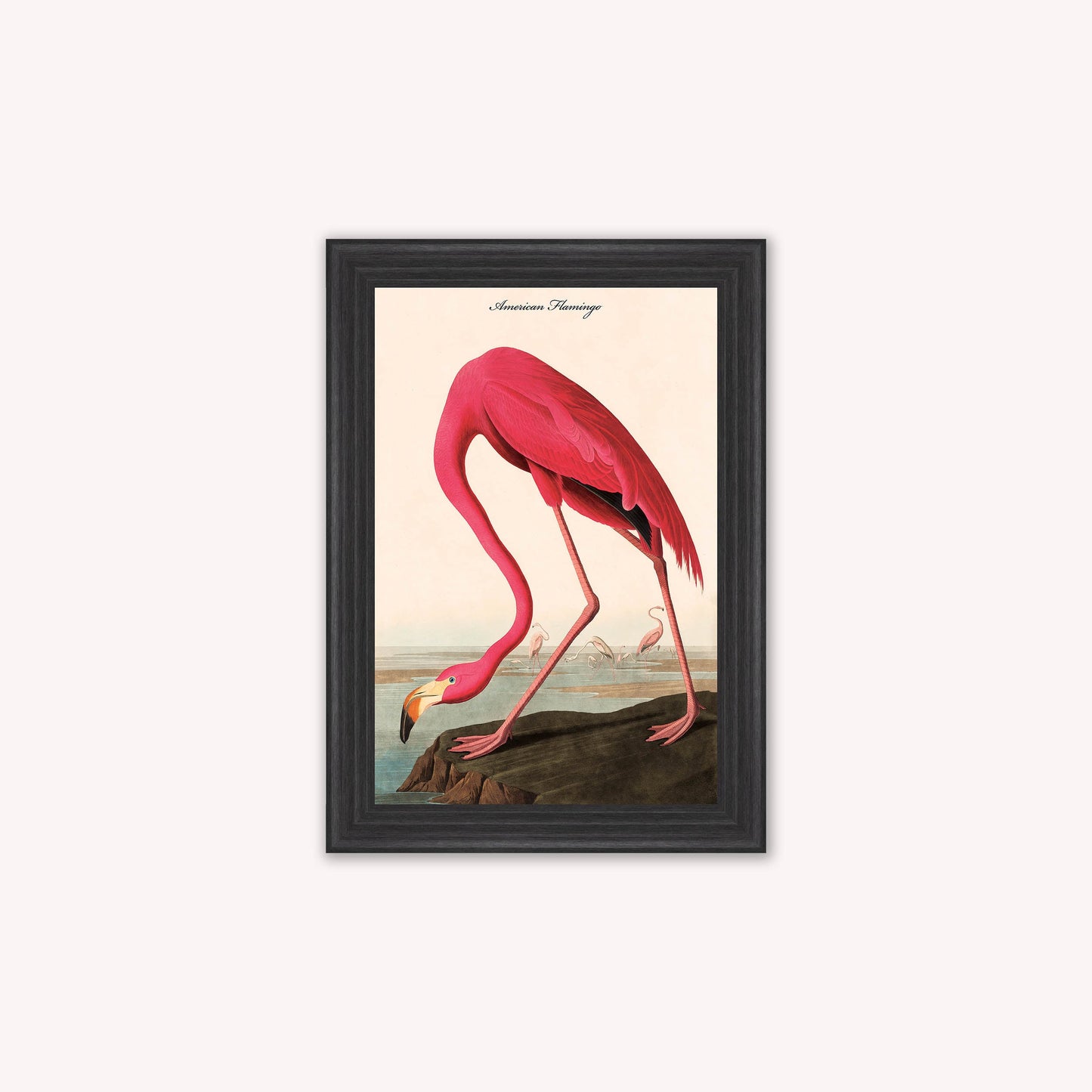 Luxury Velvet Art Print - Vintage Birds - American Flamingo Framed Wall Art
