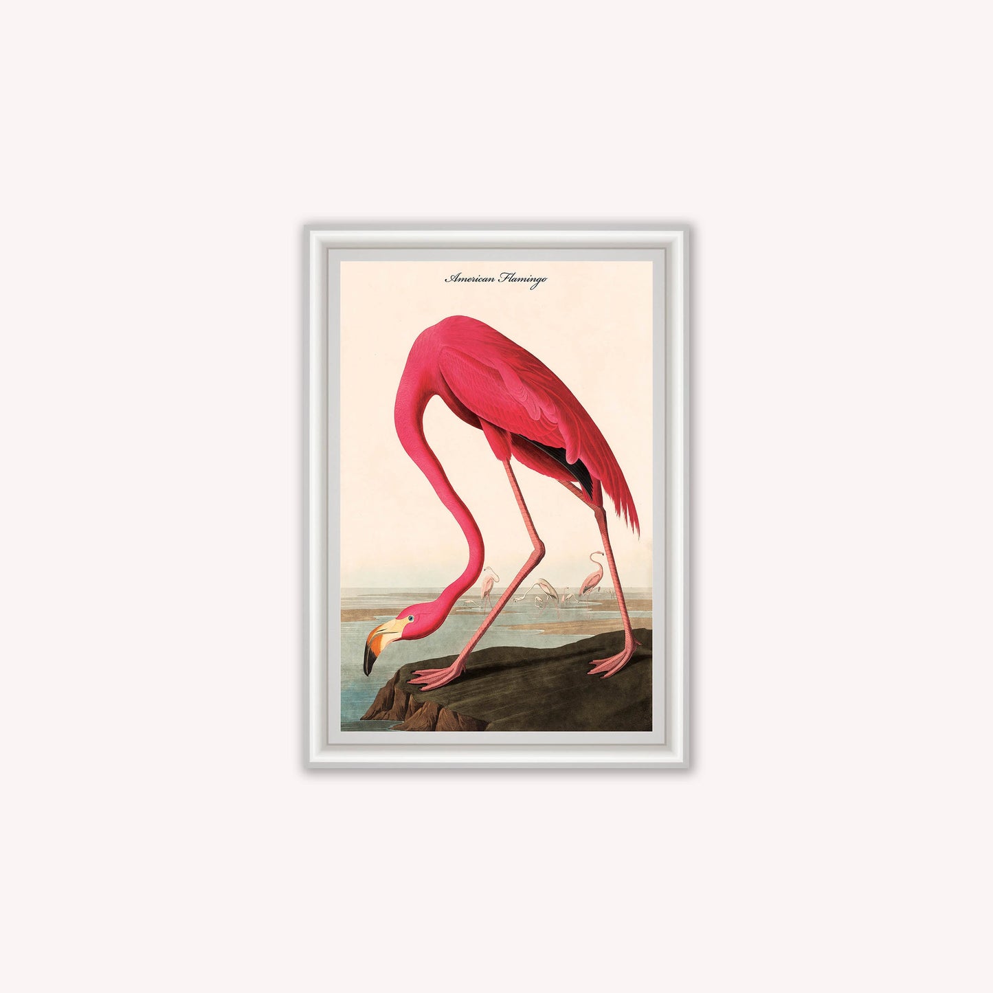 Luxury Velvet Art Print - Vintage Birds - American Flamingo Framed Wall Art