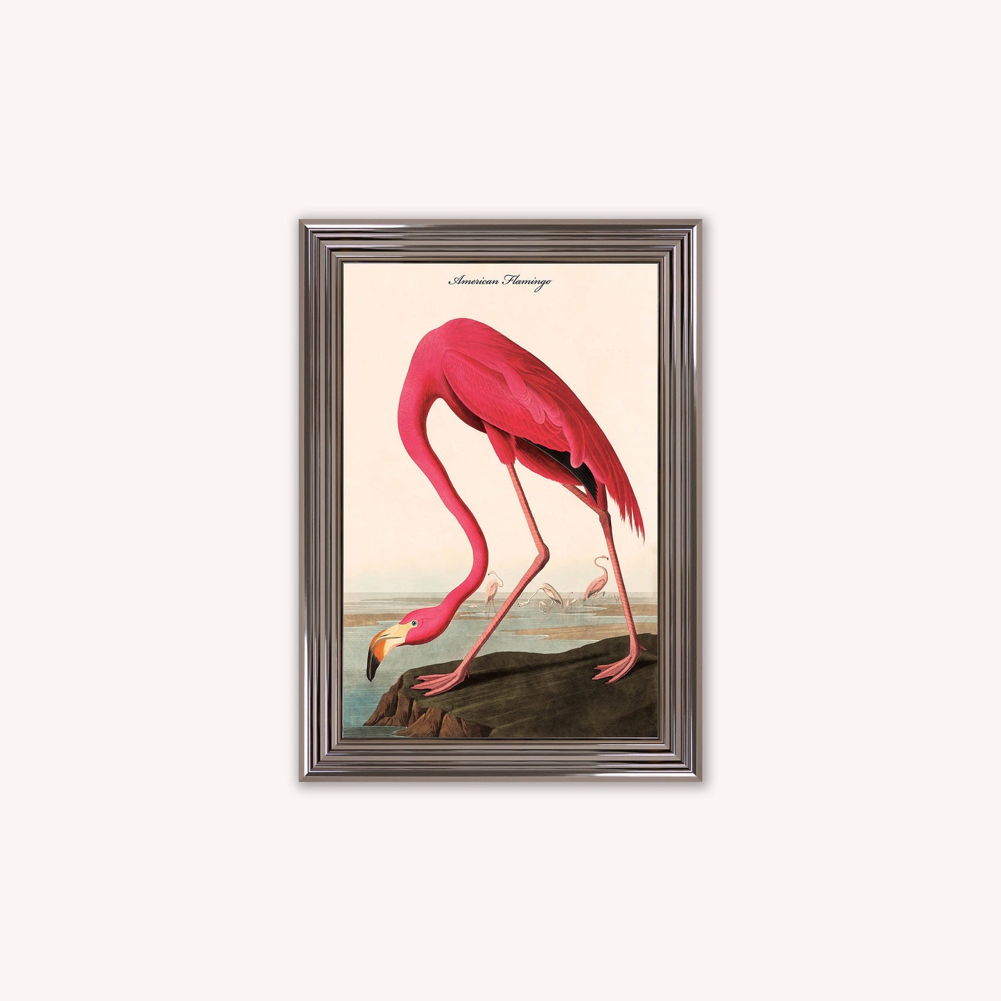 Luxury Velvet Art Print - Vintage Birds - American Flamingo Framed Wall Art