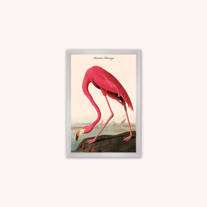 Luxury Velvet Art Print - Vintage Birds - American Flamingo Framed Wall Art