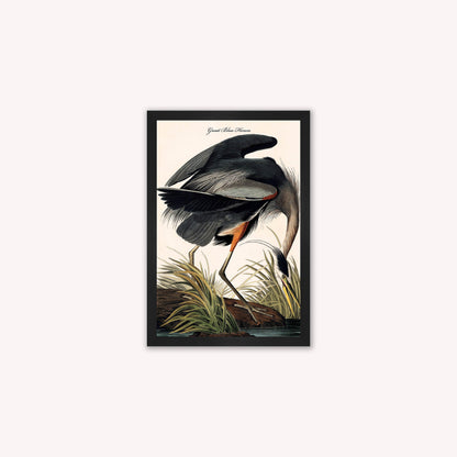Luxury Velvet Art Print - Vintage Birds -Blue Heron Framed Wall Art