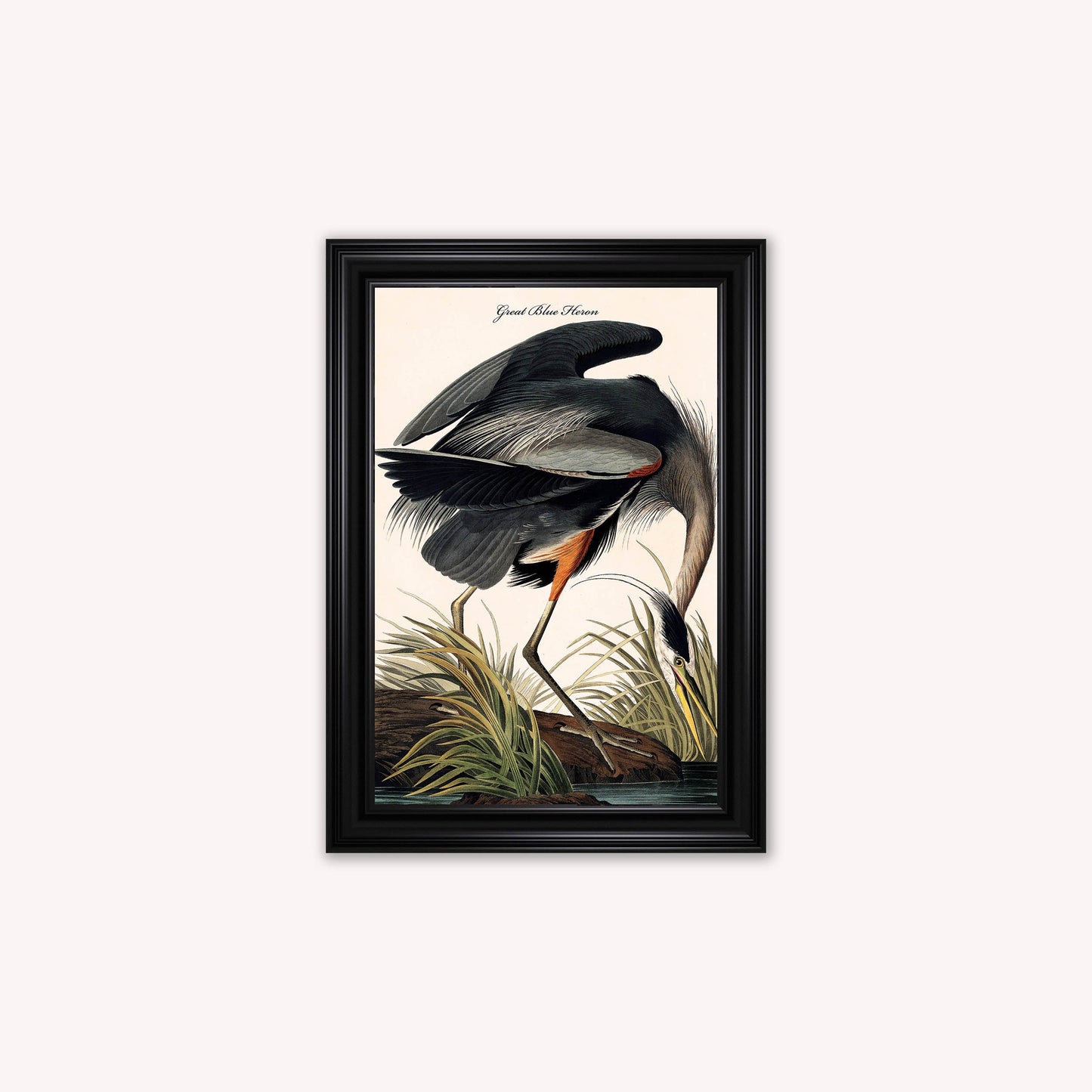 Luxury Velvet Art Print - Vintage Birds -Blue Heron Framed Wall Art