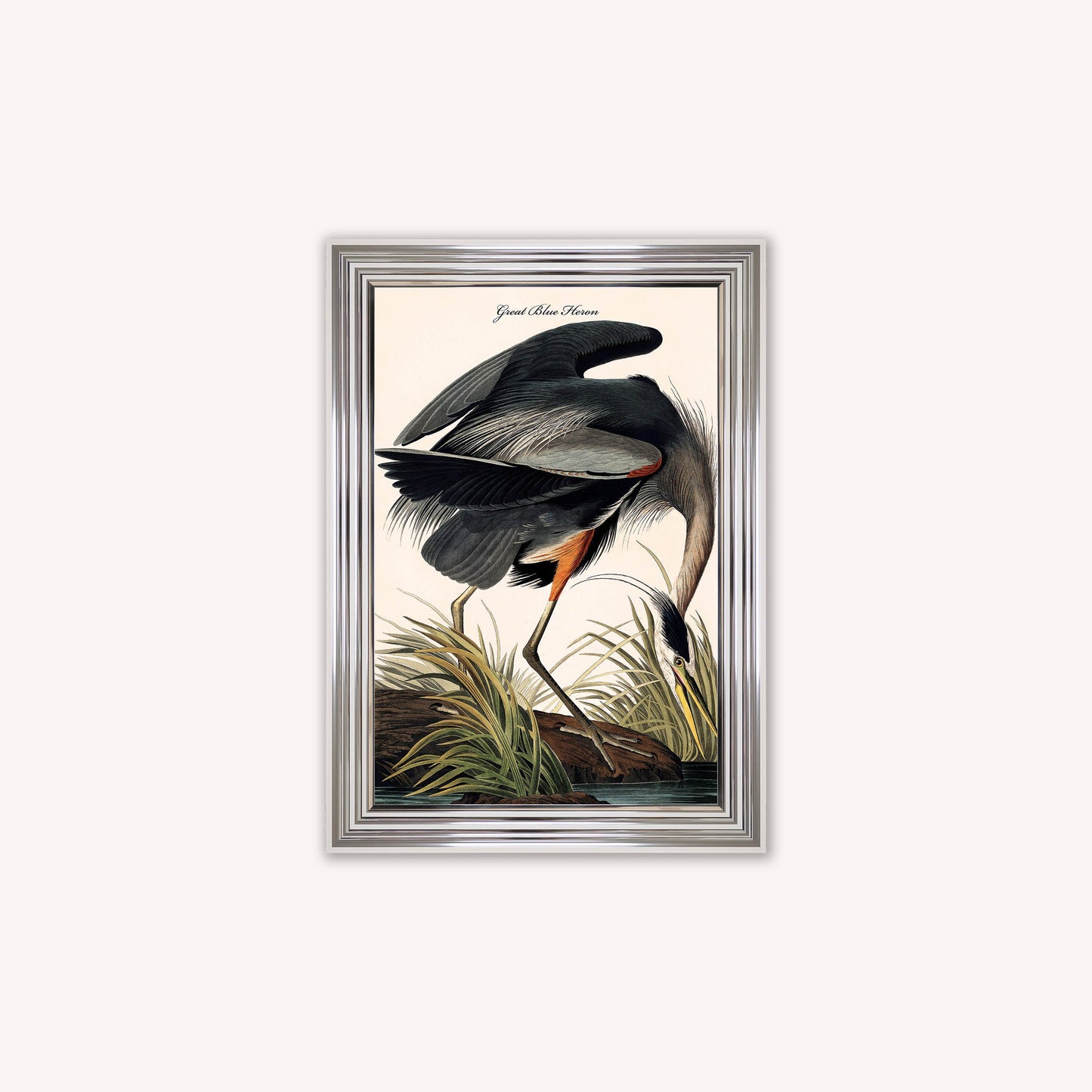 Luxury Velvet Art Print - Vintage Birds -Blue Heron Framed Wall Art