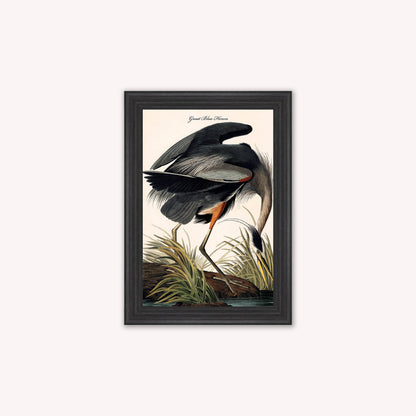 Luxury Velvet Art Print - Vintage Birds -Blue Heron Framed Wall Art
