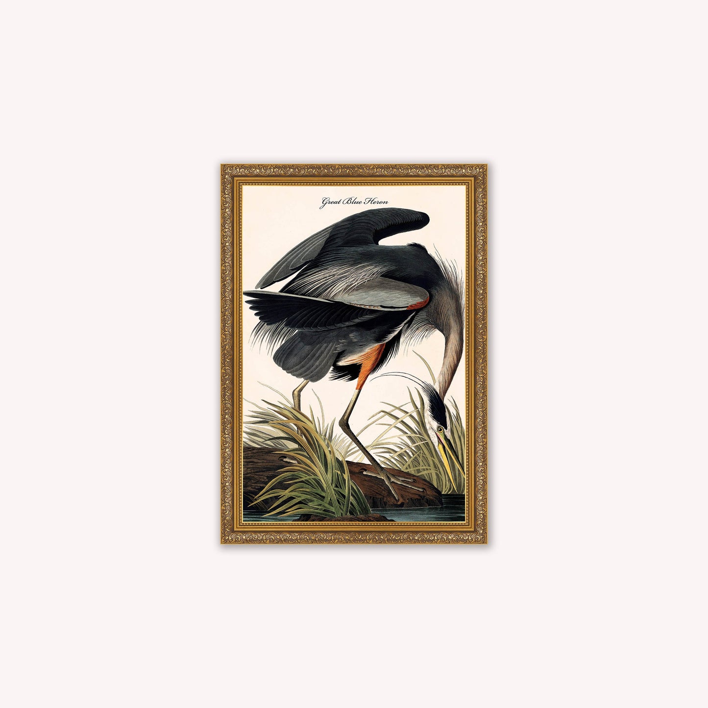 Luxury Velvet Art Print - Vintage Birds -Blue Heron Framed Wall Art