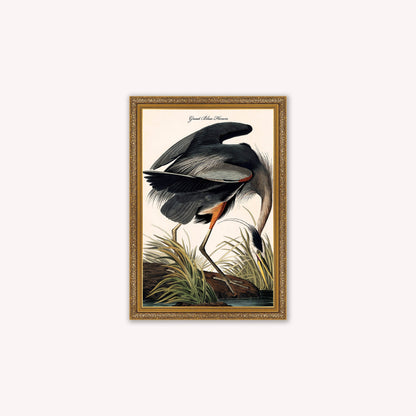 Luxury Velvet Art Print - Vintage Birds -Blue Heron Framed Wall Art