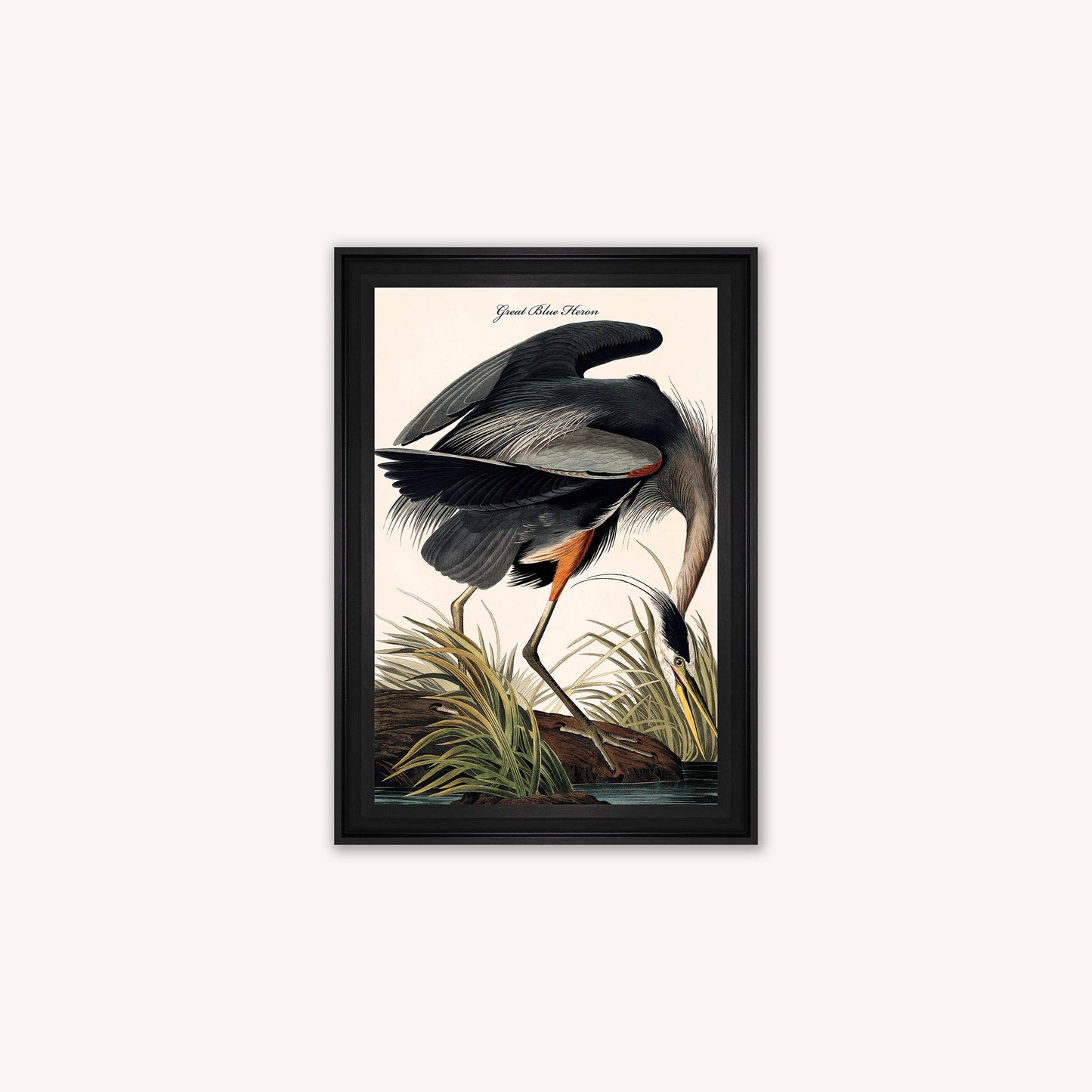 Luxury Velvet Art Print - Vintage Birds -Blue Heron Framed Wall Art