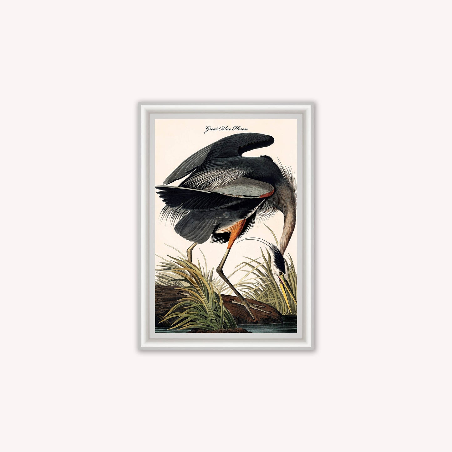 Luxury Velvet Art Print - Vintage Birds -Blue Heron Framed Wall Art