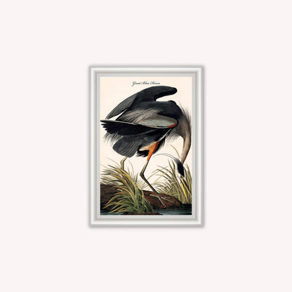 Luxury Velvet Art Print - Vintage Birds -Blue Heron Framed Wall Art