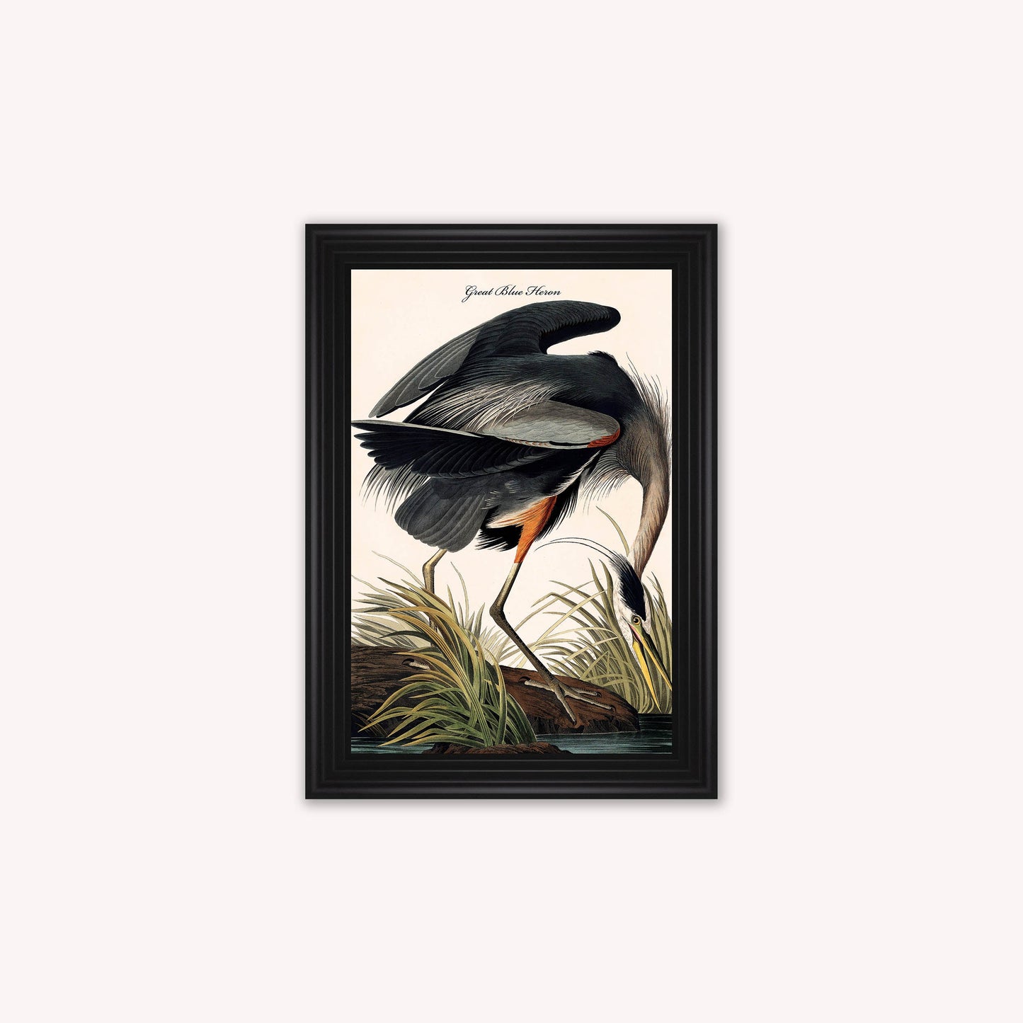 Luxury Velvet Art Print - Vintage Birds -Blue Heron Framed Wall Art