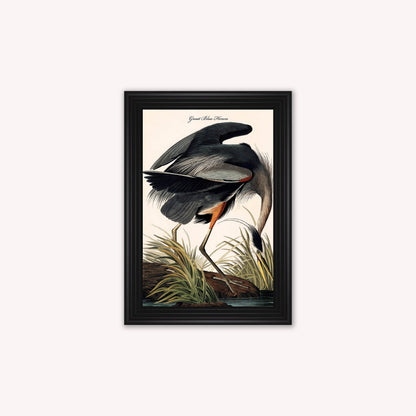 Luxury Velvet Art Print - Vintage Birds -Blue Heron Framed Wall Art