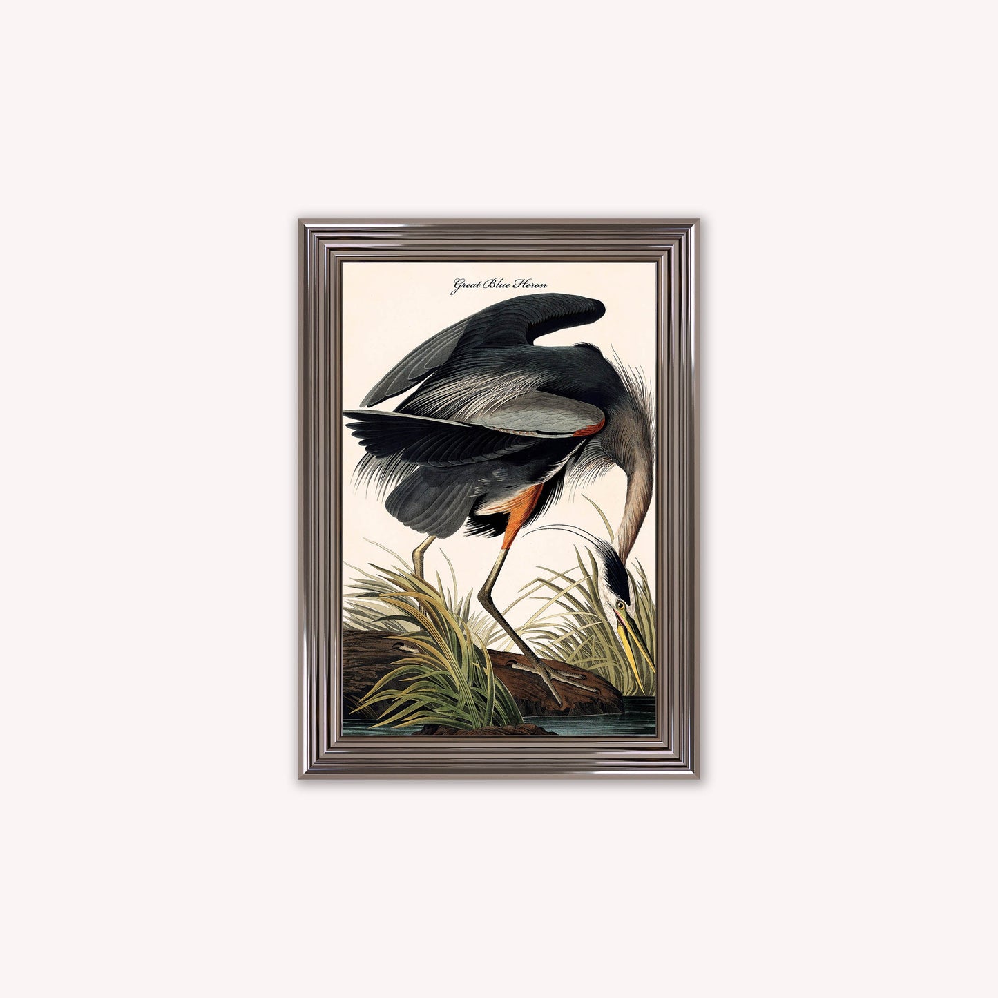 Luxury Velvet Art Print - Vintage Birds -Blue Heron Framed Wall Art