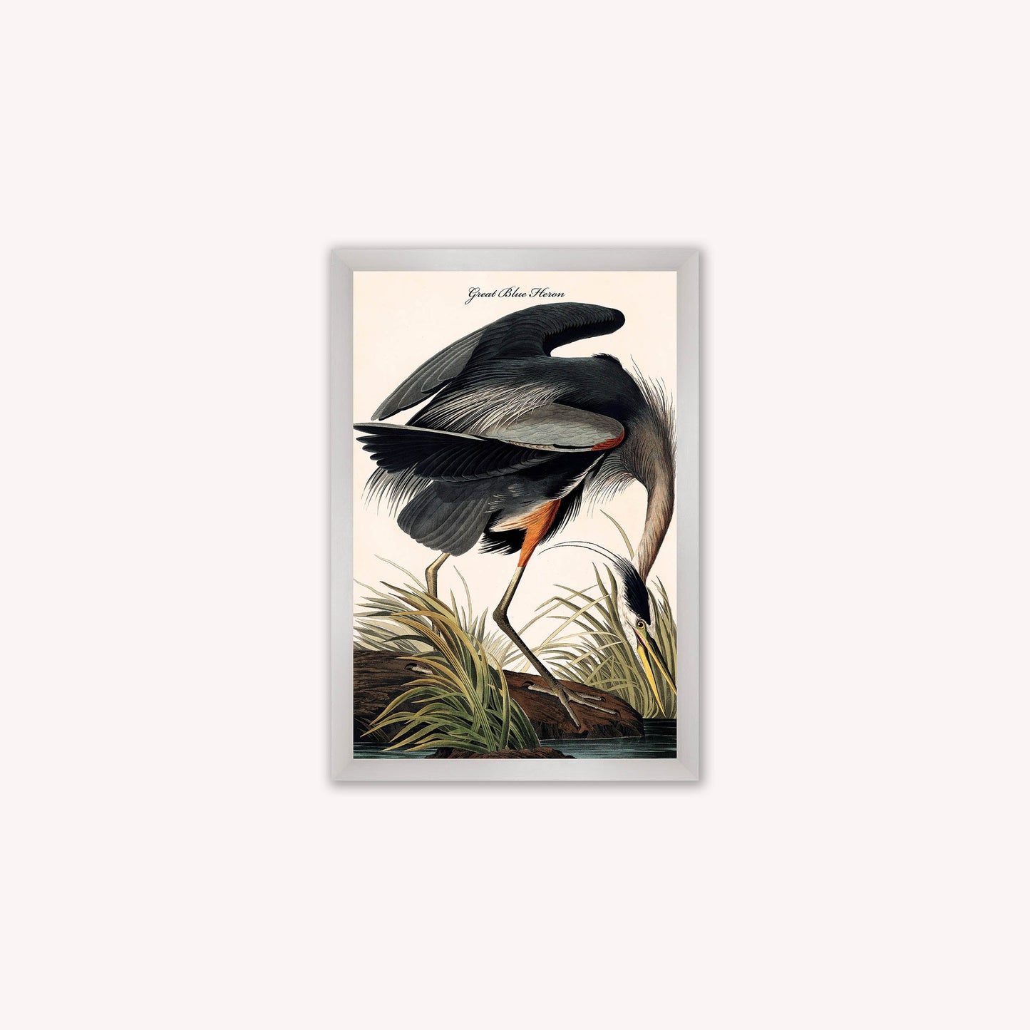 Luxury Velvet Art Print - Vintage Birds -Blue Heron Framed Wall Art
