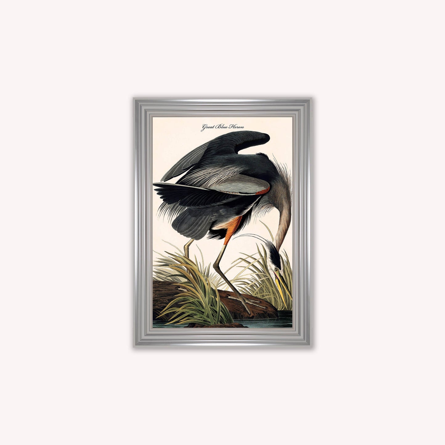 Luxury Velvet Art Print - Vintage Birds -Blue Heron Framed Wall Art