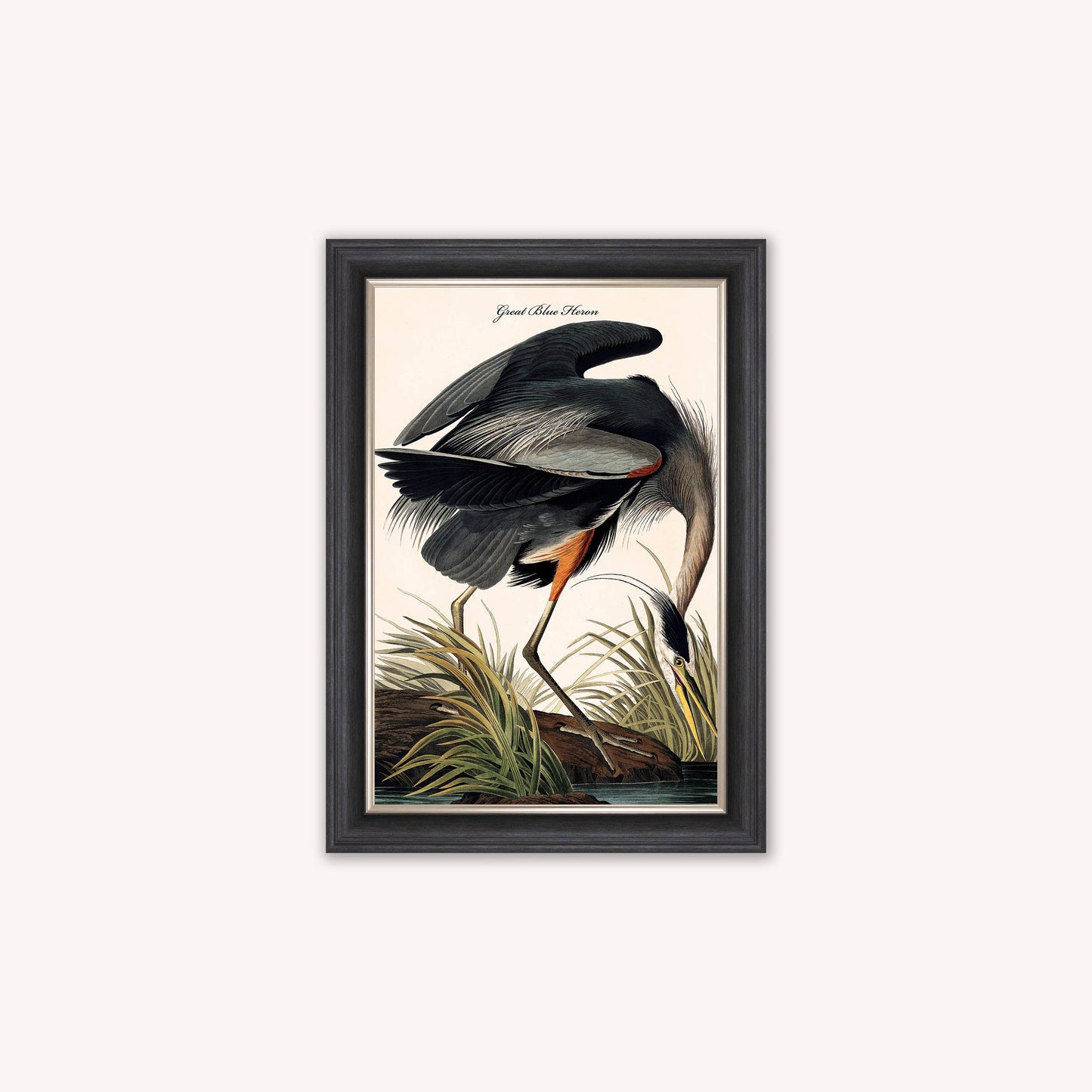 Luxury Velvet Art Print - Vintage Birds -Blue Heron Framed Wall Art