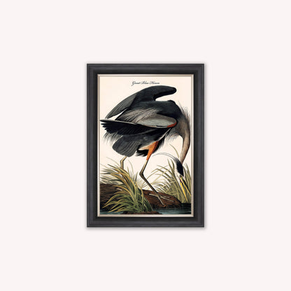 Luxury Velvet Art Print - Vintage Birds -Blue Heron Framed Wall Art