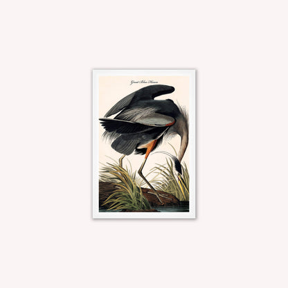 Luxury Velvet Art Print - Vintage Birds -Blue Heron Framed Wall Art