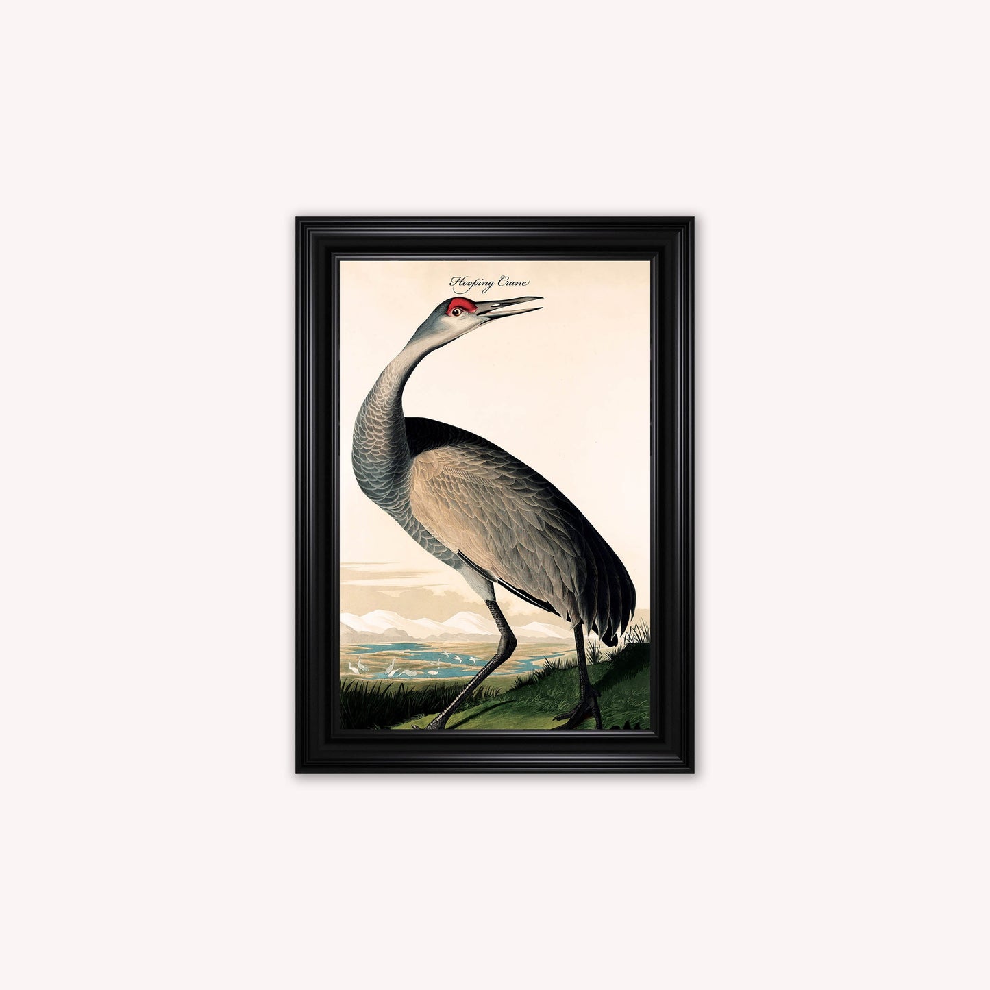 Luxury Velvet Art Print - Vintage Birds - Hooping Crane Framed Wall Art