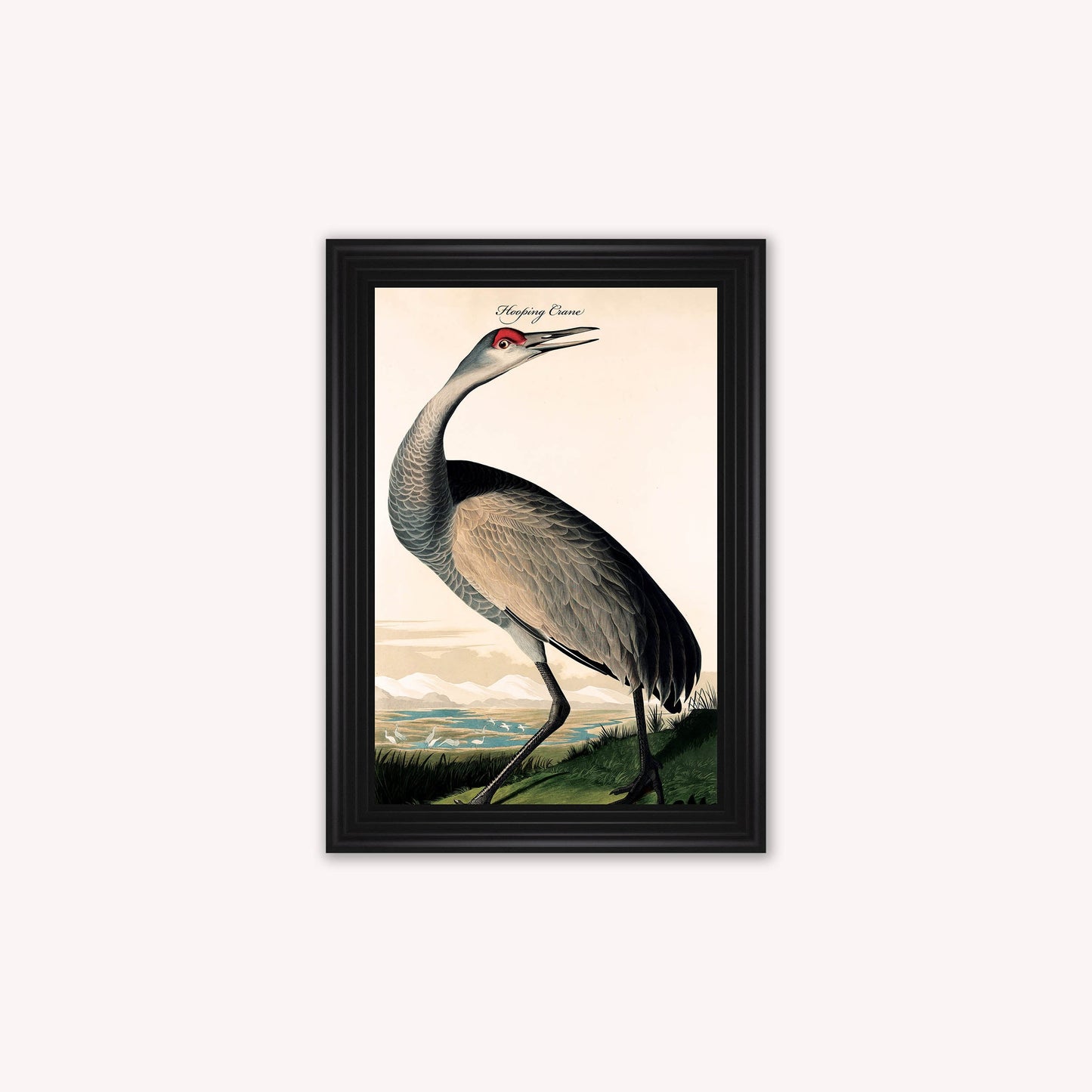 Luxury Velvet Art Print - Vintage Birds - Hooping Crane Framed Wall Art