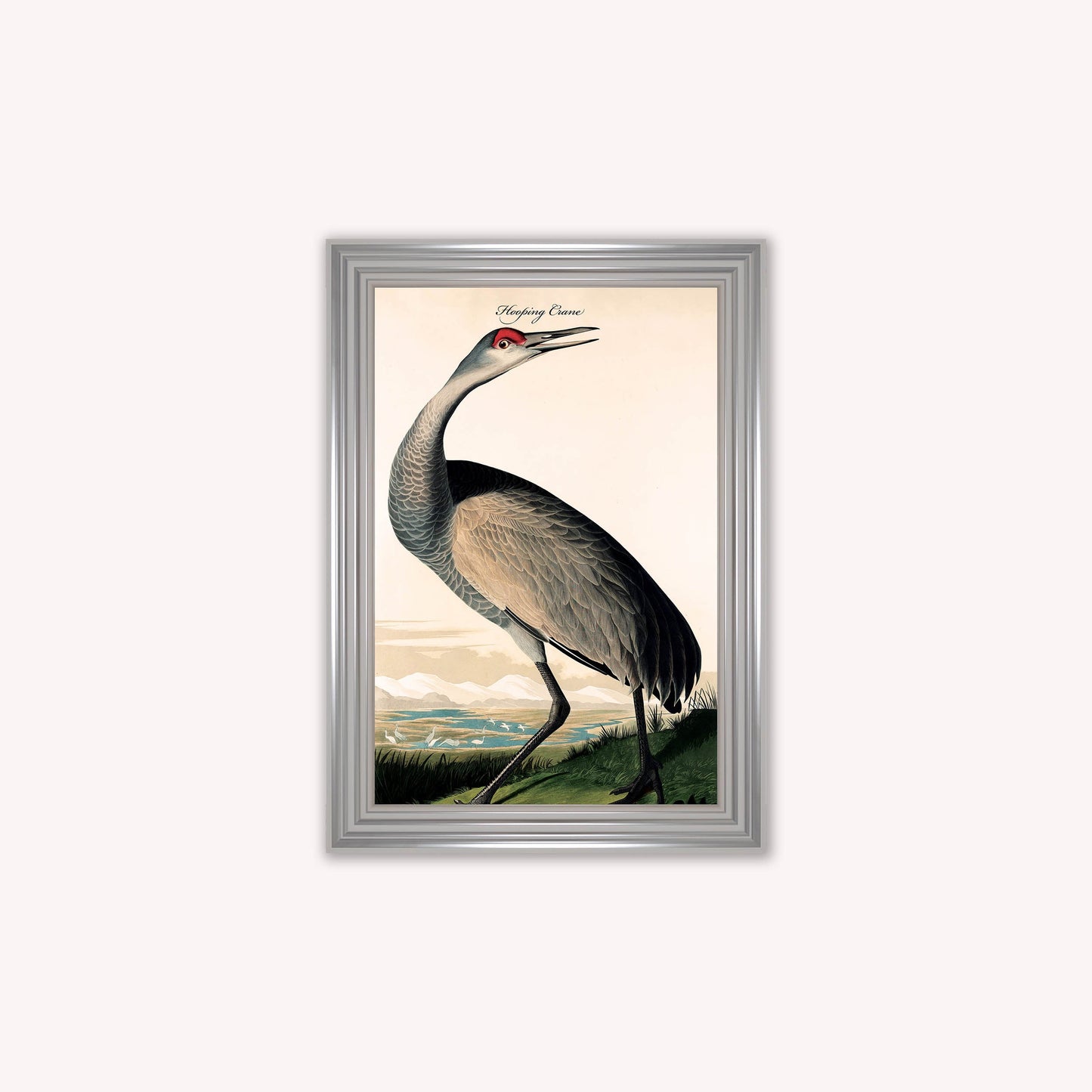 Luxury Velvet Art Print - Vintage Birds - Hooping Crane Framed Wall Art