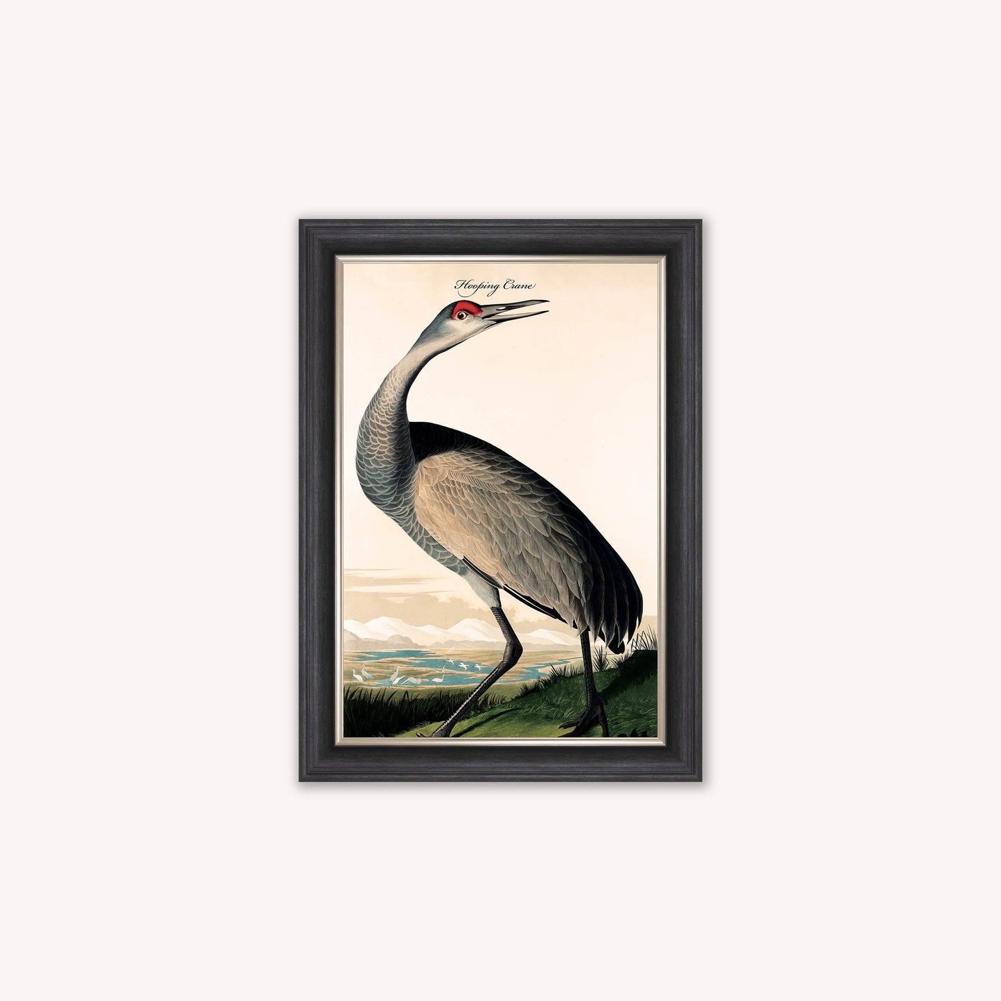 Luxury Velvet Art Print - Vintage Birds - Hooping Crane Framed Wall Art
