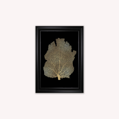 Luxury Velvet Art Print - Gold Leaf on Black 2 Framed Wall Art