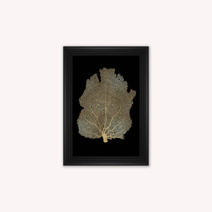 Luxury Velvet Art Print - Gold Leaf on Black 2 Framed Wall Art