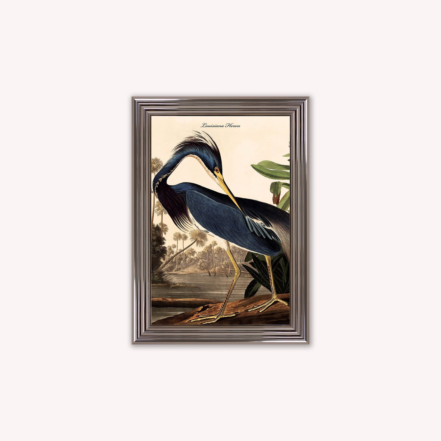Luxury Velvet Art Print - Vintage Birds - Louisiana Heron Framed Wall Art