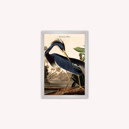 Luxury Velvet Art Print - Vintage Birds - Louisiana Heron Framed Wall Art