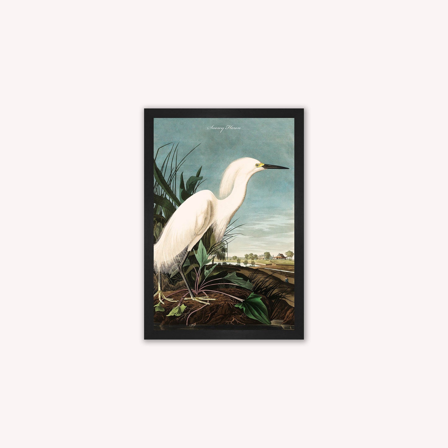 Luxury Velvet Art Print - Vintage Birds - Snowy Heron Framed Wall Art