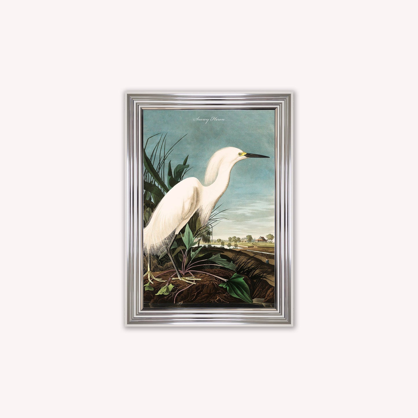 Luxury Velvet Art Print - Vintage Birds - Snowy Heron Framed Wall Art