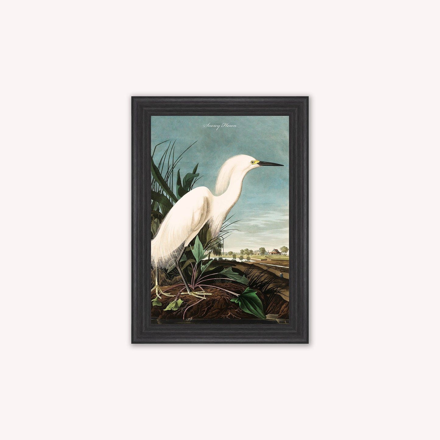 Luxury Velvet Art Print - Vintage Birds - Snowy Heron Framed Wall Art