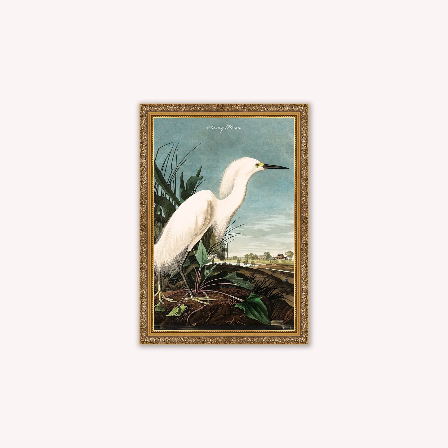 Luxury Velvet Art Print - Vintage Birds - Snowy Heron Framed Wall Art