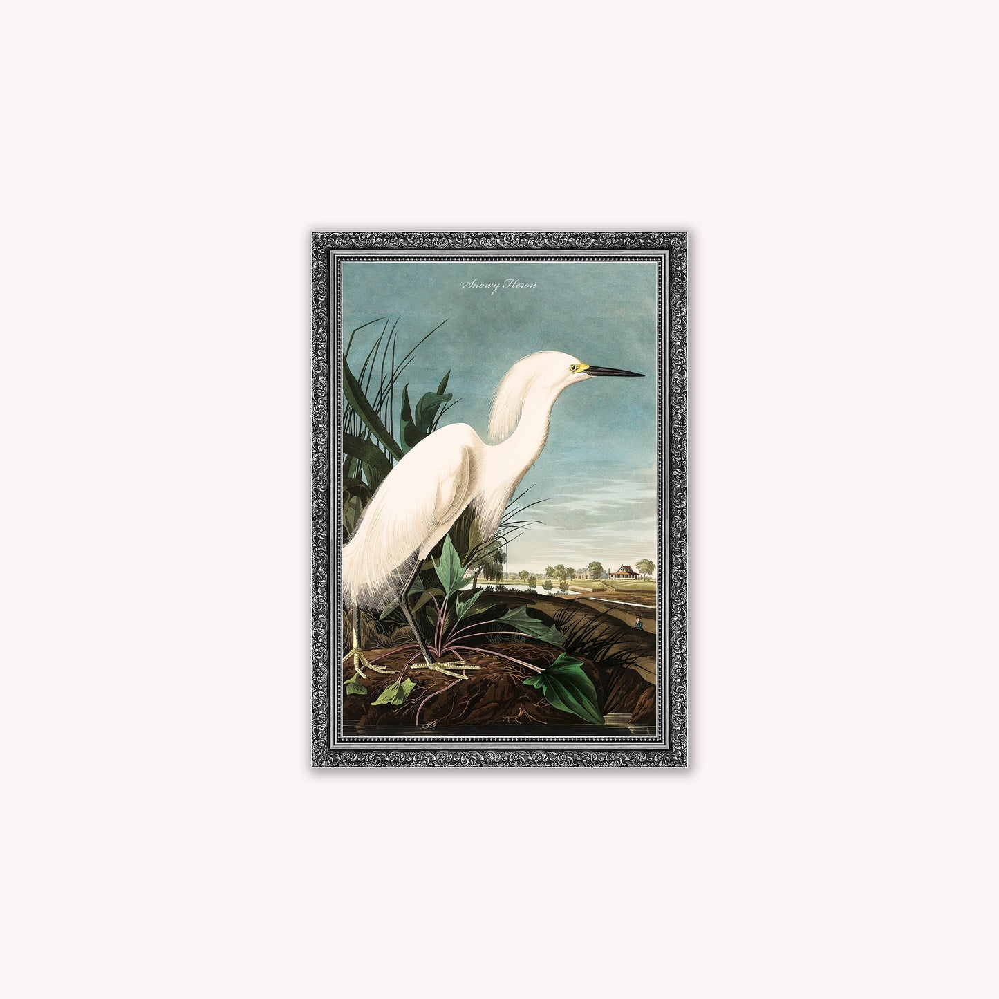 Luxury Velvet Art Print - Vintage Birds - Snowy Heron Framed Wall Art