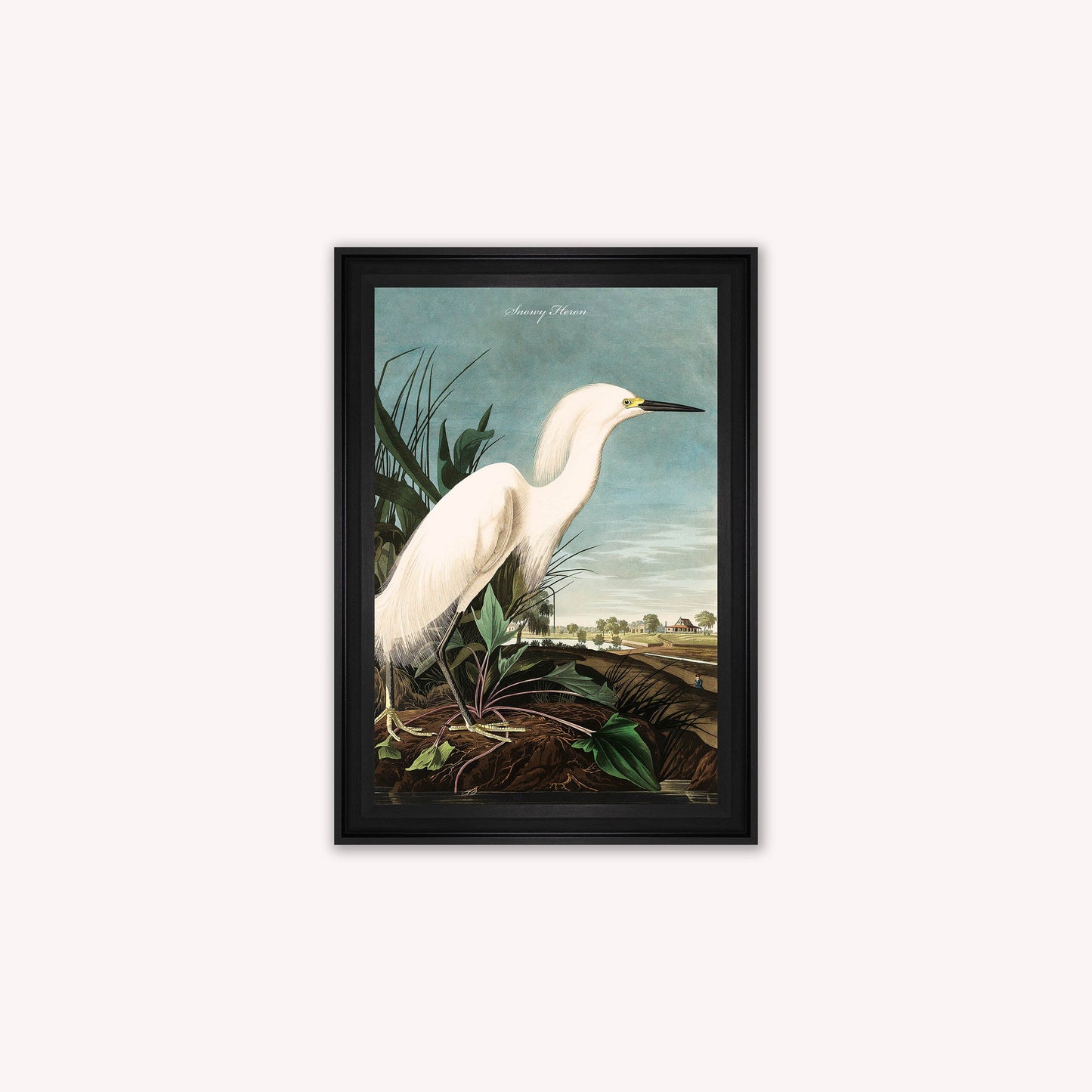 Luxury Velvet Art Print - Vintage Birds - Snowy Heron Framed Wall Art