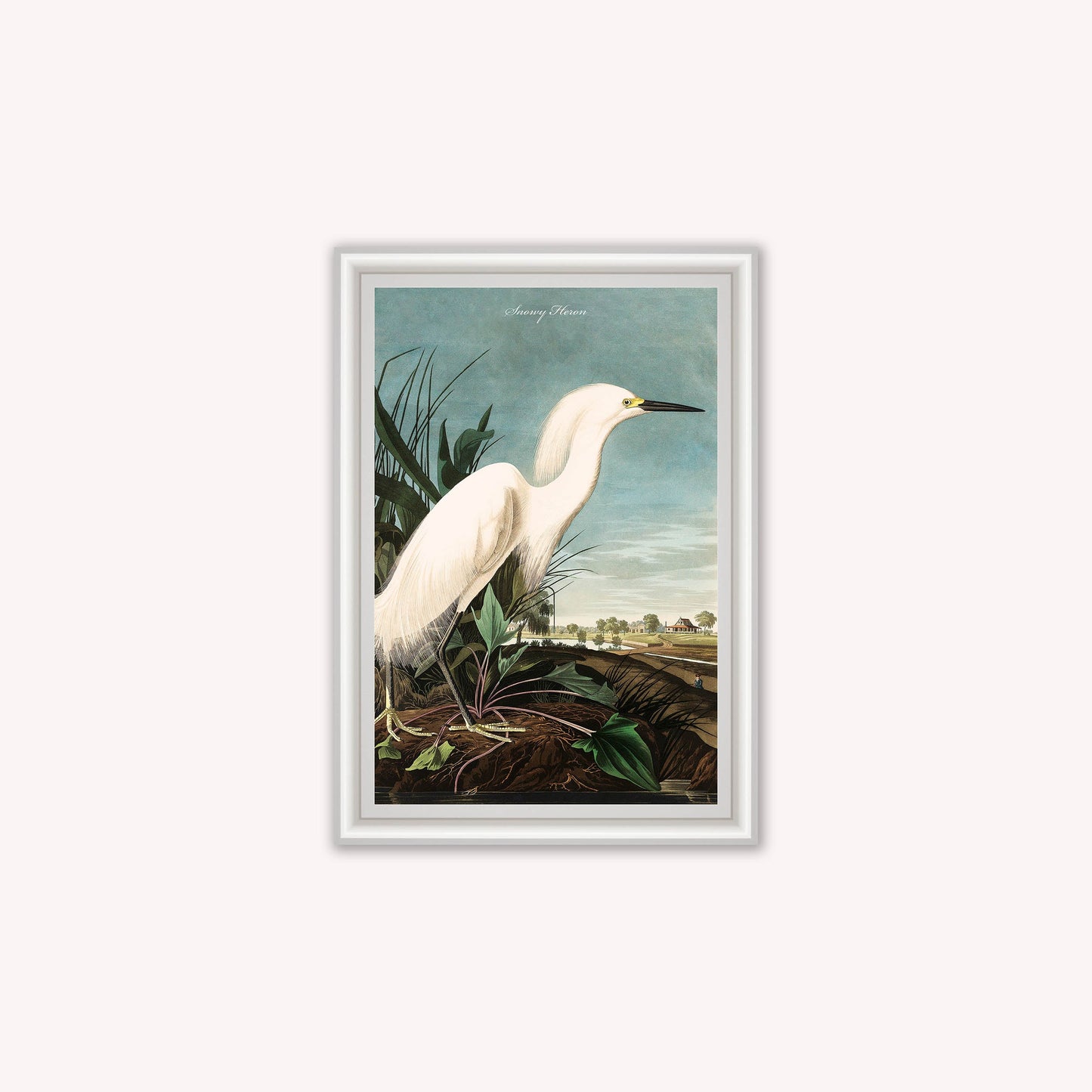 Luxury Velvet Art Print - Vintage Birds - Snowy Heron Framed Wall Art