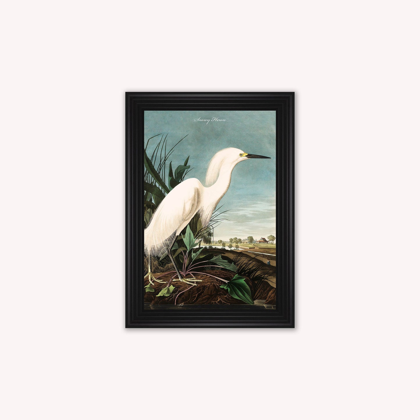Luxury Velvet Art Print - Vintage Birds - Snowy Heron Framed Wall Art