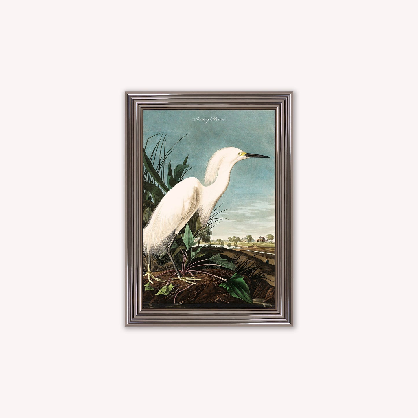 Luxury Velvet Art Print - Vintage Birds - Snowy Heron Framed Wall Art