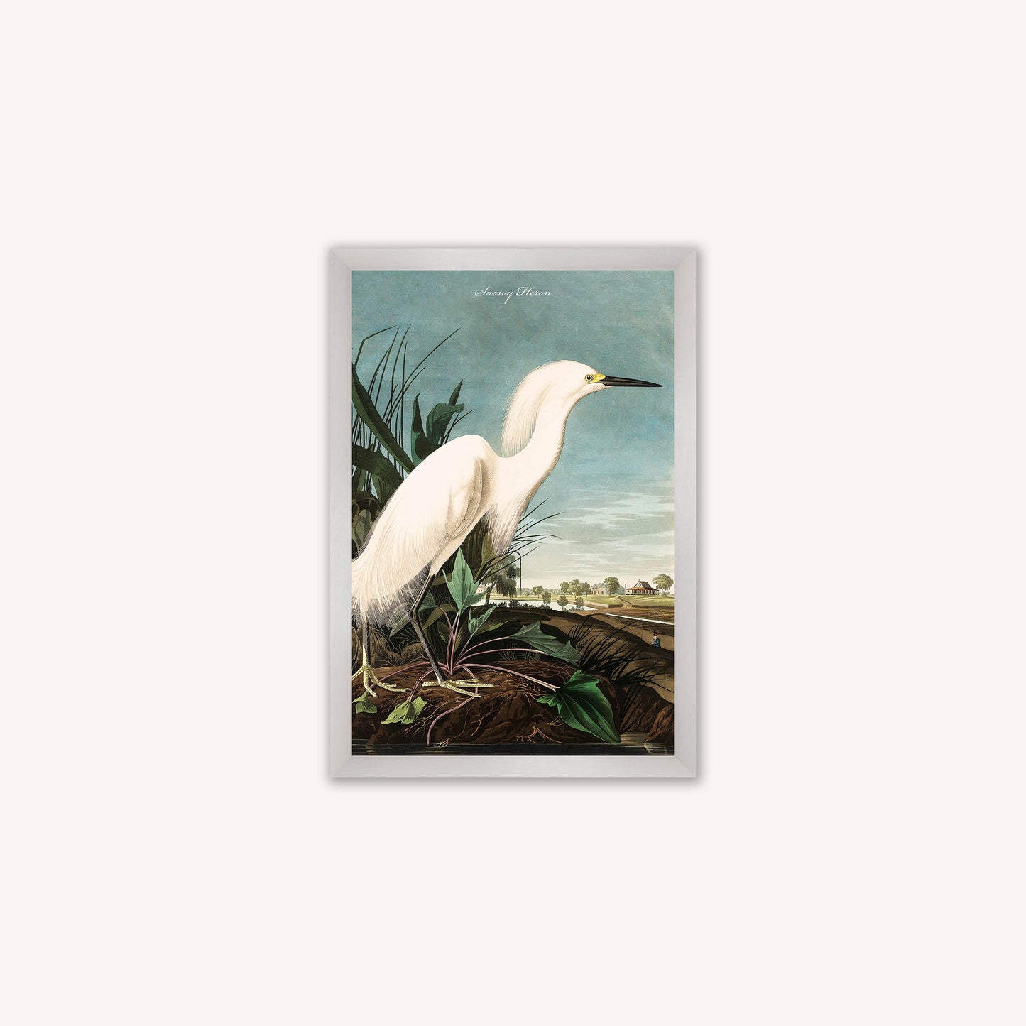 Luxury Velvet Art Print - Vintage Birds - Snowy Heron Framed Wall Art