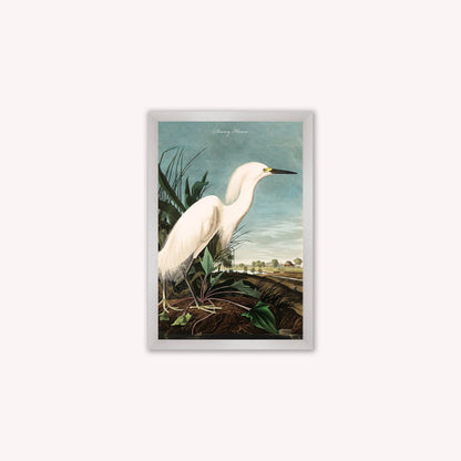 Luxury Velvet Art Print - Vintage Birds - Snowy Heron Framed Wall Art