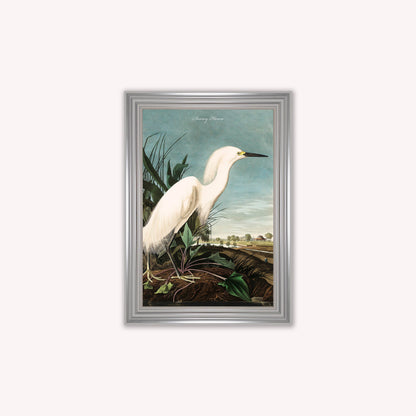 Luxury Velvet Art Print - Vintage Birds - Snowy Heron Framed Wall Art
